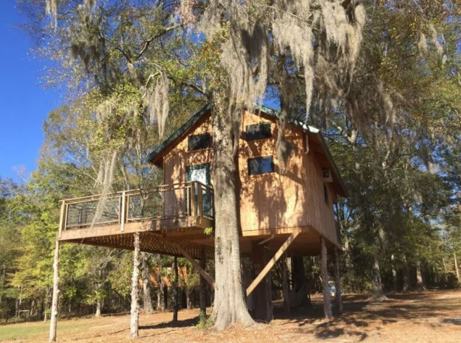 Timber Retreat